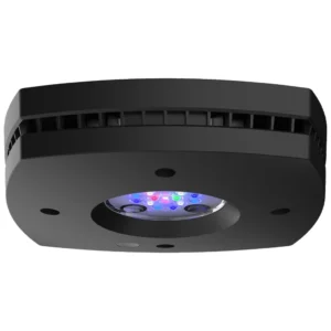 Ecotech Prime 16 HD Black LED rasveta za morski akvarijum