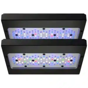 Ecotech Radion profesionalna LED lampa za korale