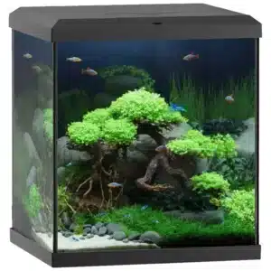 Juwel Vio Cube 54 komplet kocka akvarijum